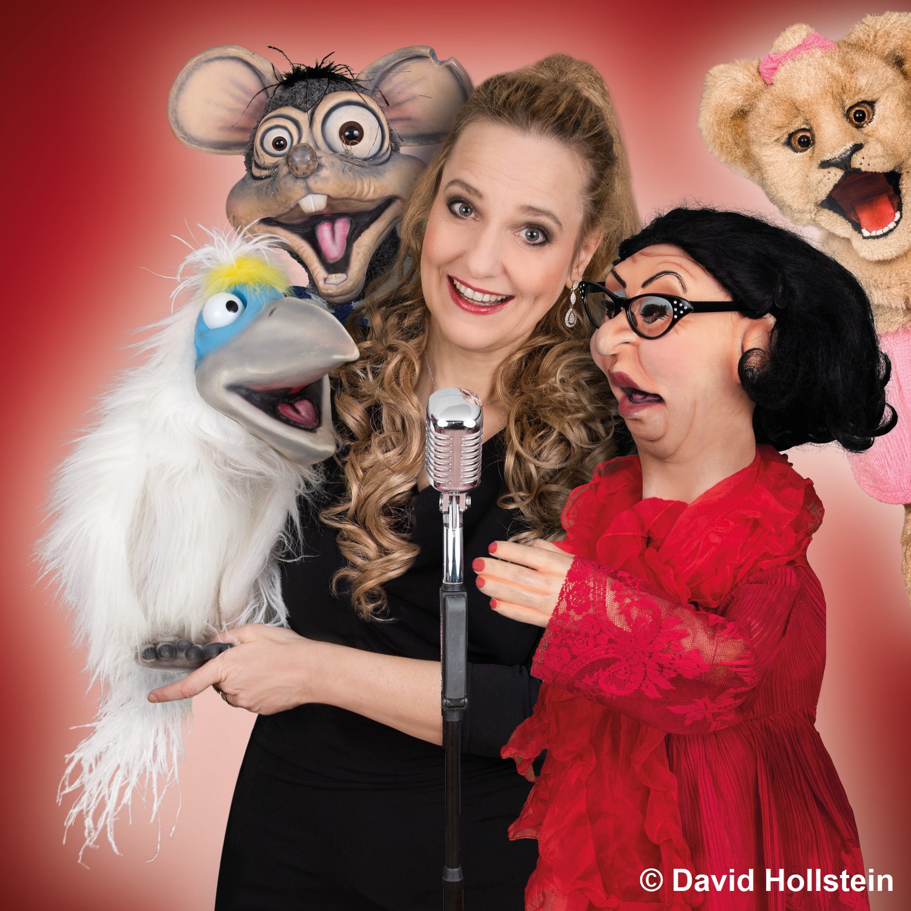 Bauchges&auml;nge - Best of!